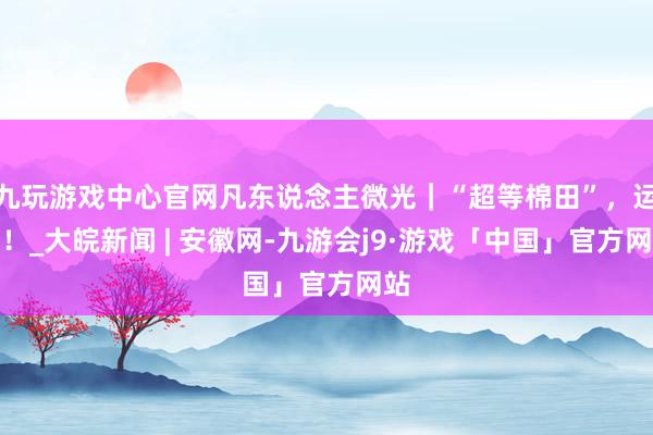 九玩游戏中心官网凡东说念主微光｜“超等棉田”，运行！_大皖新闻 | 安徽网-九游会j9·游戏「中国」官方网站
