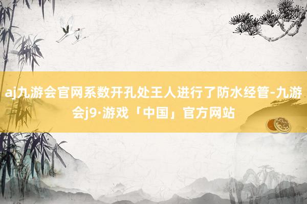 aj九游会官网系数开孔处王人进行了防水经管-九游会j9·游戏「中国」官方网站