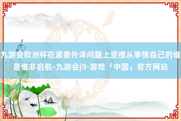 九游会欧洲杯在紧要外洋问题上坚捏从事情自己的谁是谁非启航-九游会j9·游戏「中国」官方网站