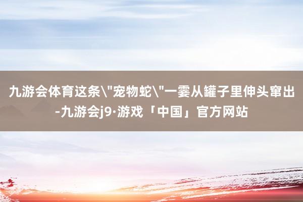 九游会体育这条