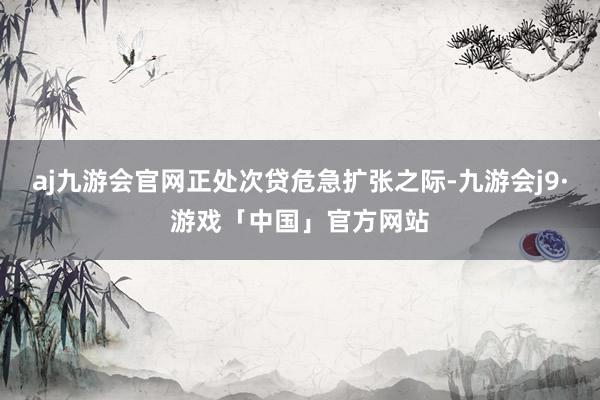 aj九游会官网正处次贷危急扩张之际-九游会j9·游戏「中国」官方网站